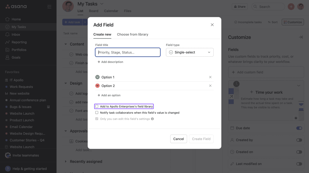 custom fields in my tasks